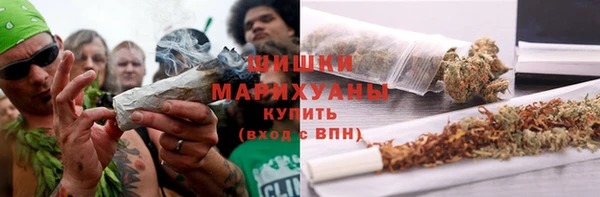 ГАЛЛЮЦИНОГЕННЫЕ ГРИБЫ Новокубанск