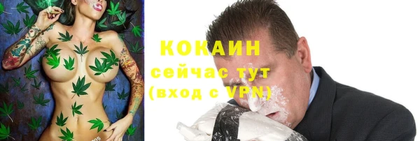 эйфоретик Дмитриев