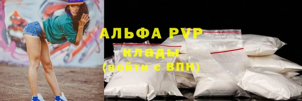 дживик Ельня