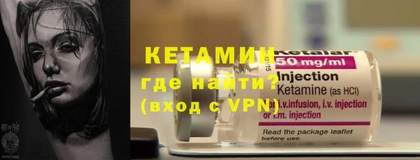 дживик Ельня