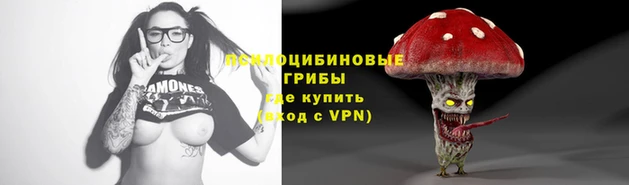 бошки Дмитров