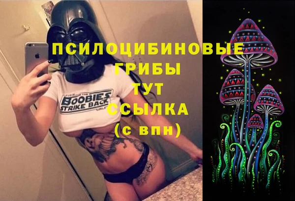 винт Дмитровск