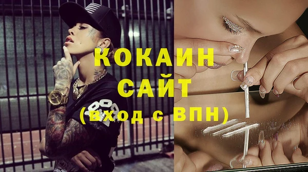 дживик Ельня