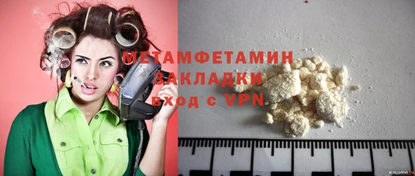 дживик Ельня