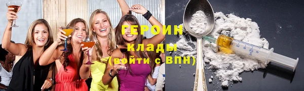 дживик Ельня