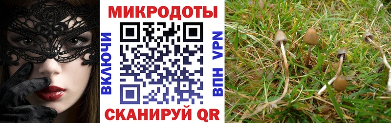 Галлюциногенные грибы мухоморы  hydra ТОР  Рошаль  купить  сайты 